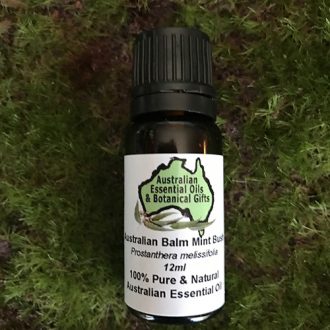 Balm Mint Bush