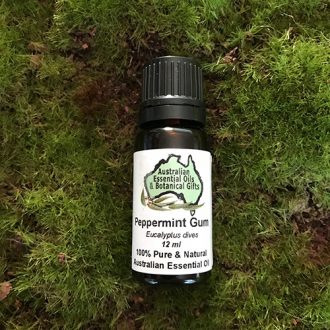 Eucalyptus Peppermint Gum