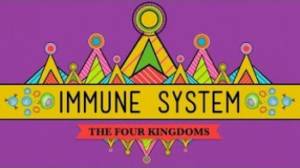 Immune System